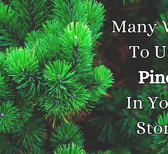 Writing: The Many Uses of Pine